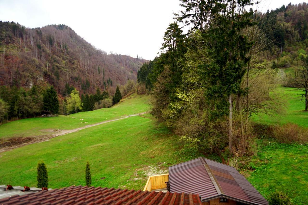 Zgornje Gorje Apartma Erzen מראה חיצוני תמונה