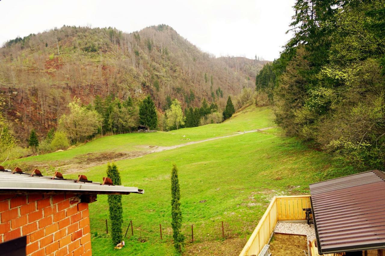 Zgornje Gorje Apartma Erzen מראה חיצוני תמונה
